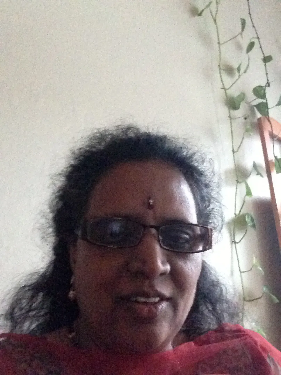 MeenakshiRamamoorthi