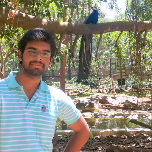 Sathyanarayanan Ramesh