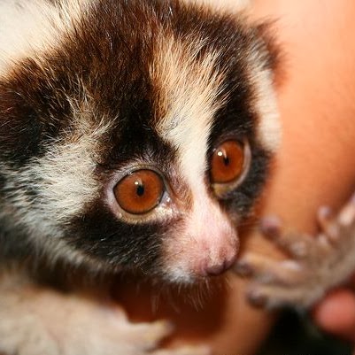 Aleksandar Dragojević