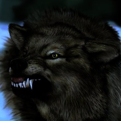 Tuấn Duy Nguyễn Hiền