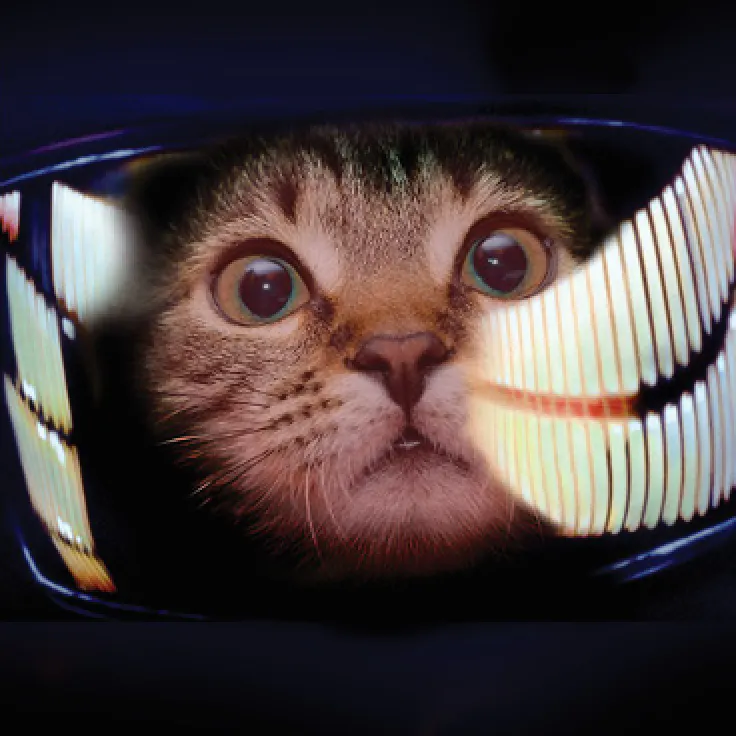 Hackster profile picture for @denis