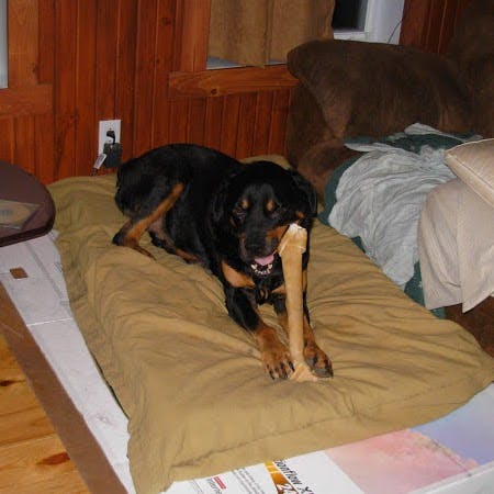 Jean-Sébastien Brière