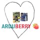 Arduberry