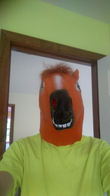 Animatronic Horse Mask
