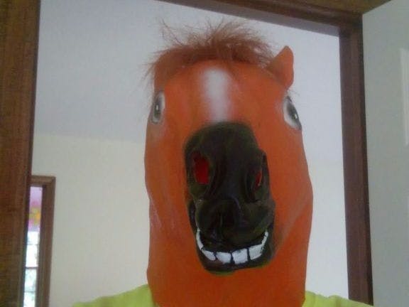 Animatronic Horse Mask