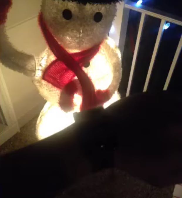 Pebble Christmas Light (ESP8266)