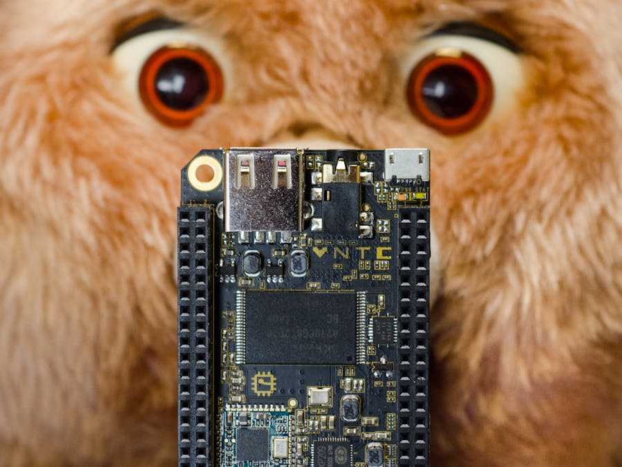 C.H.I.P.py Ruxpin ʕ•ᴥ•ʔ