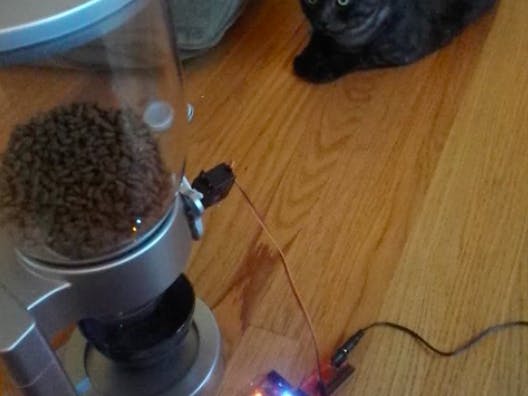 Texting Automatic Cat Feeder Internet-O-Tron