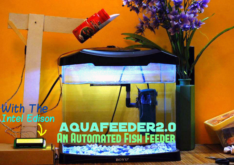 Boyu automatic shop fish feeder