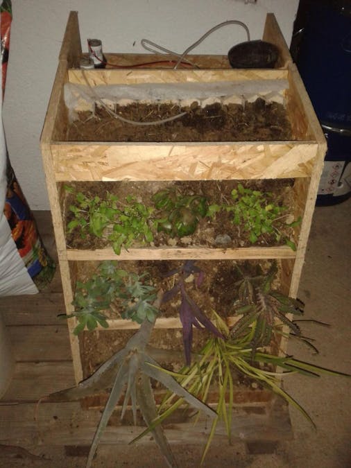 Vertical Garden and Weather Powered by Intel Edison