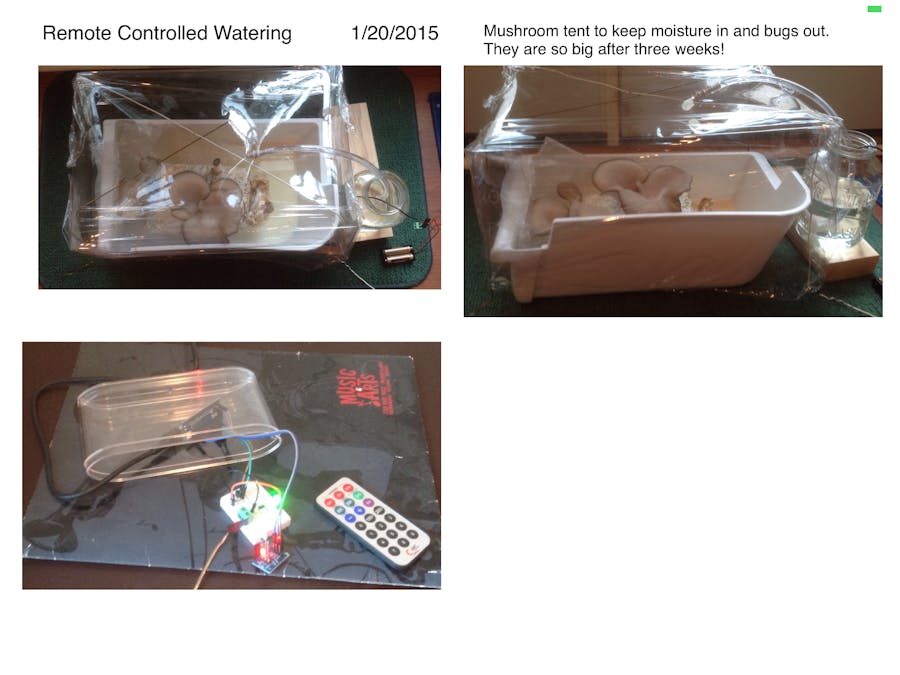 Keep Those Spores in that Mushroom Kit