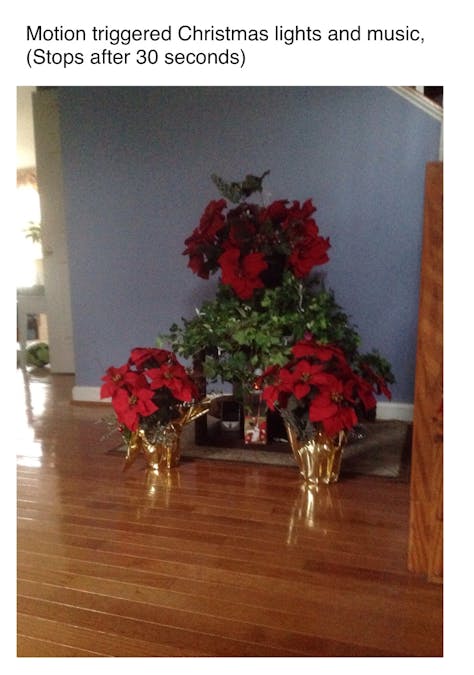 Christmas Lights and Music Display