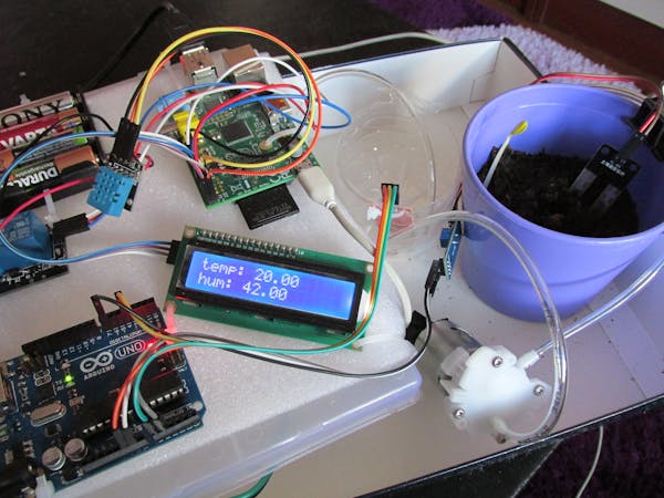 WaterPi: Houseplant Remote Watering and Monitoring System