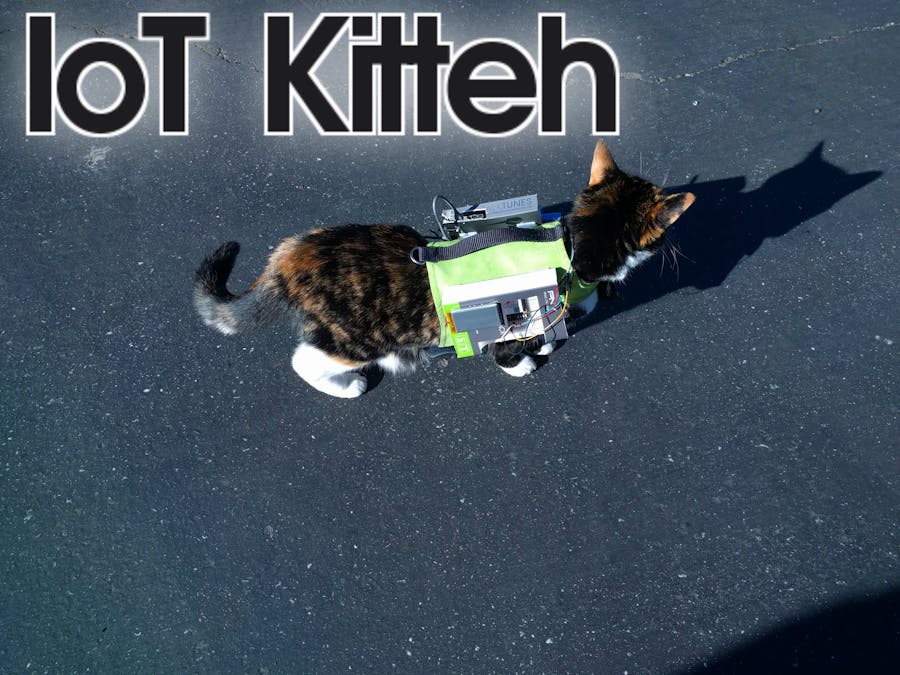 IoT Kitteh