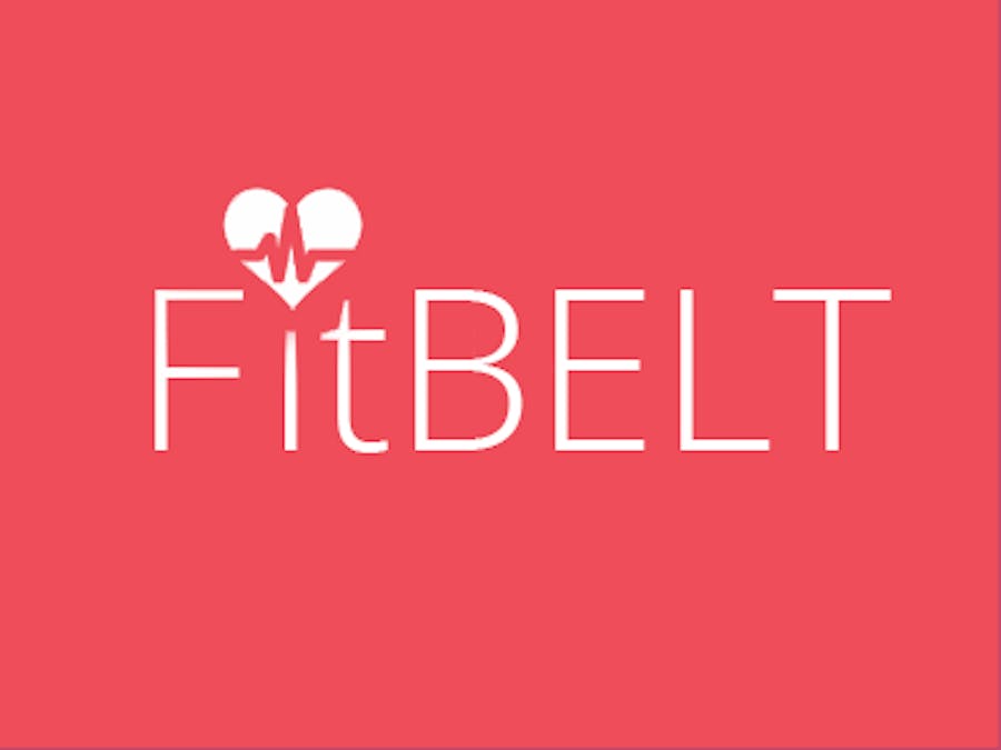 FITBELT a fitness tracker for your pet