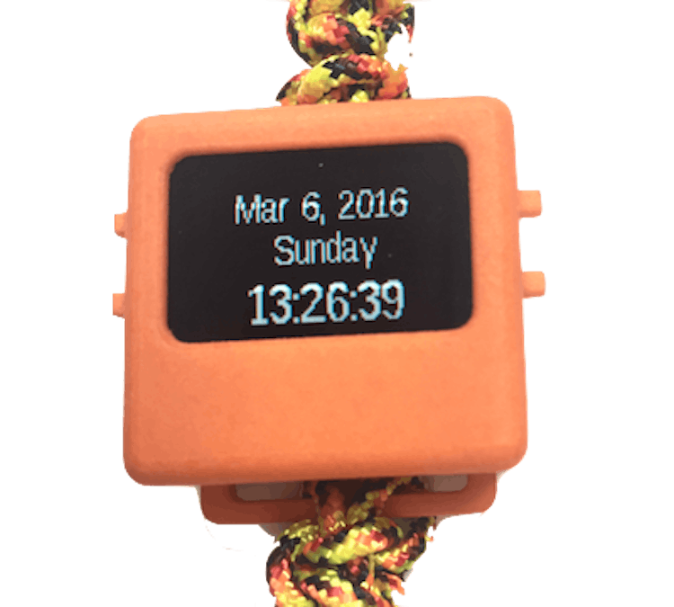 Basic O Watch Program