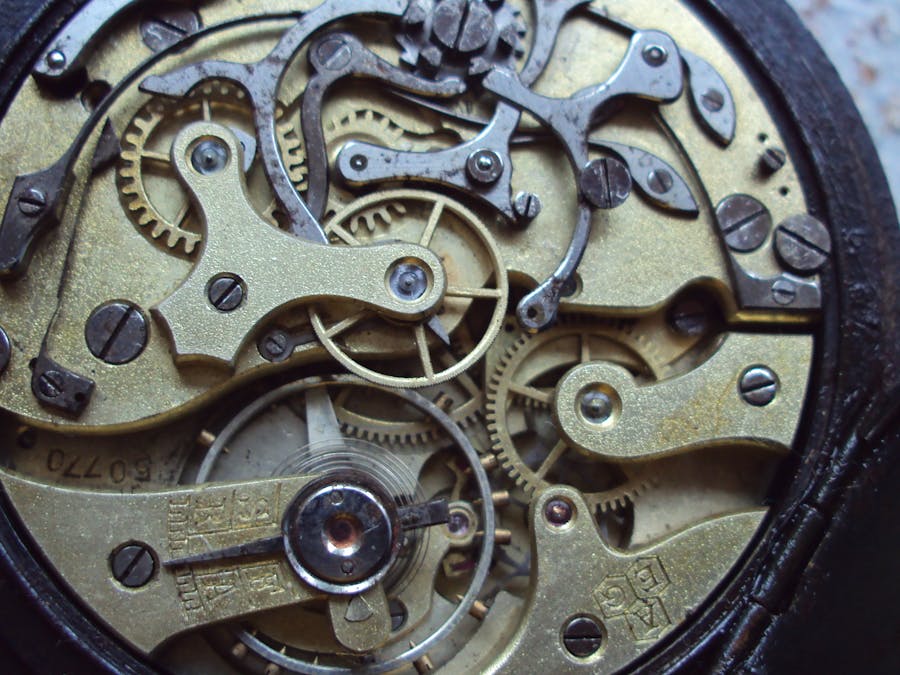 Design 01: Watches in the Wild