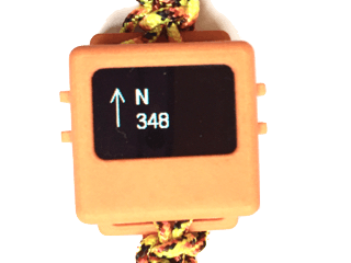 Compass