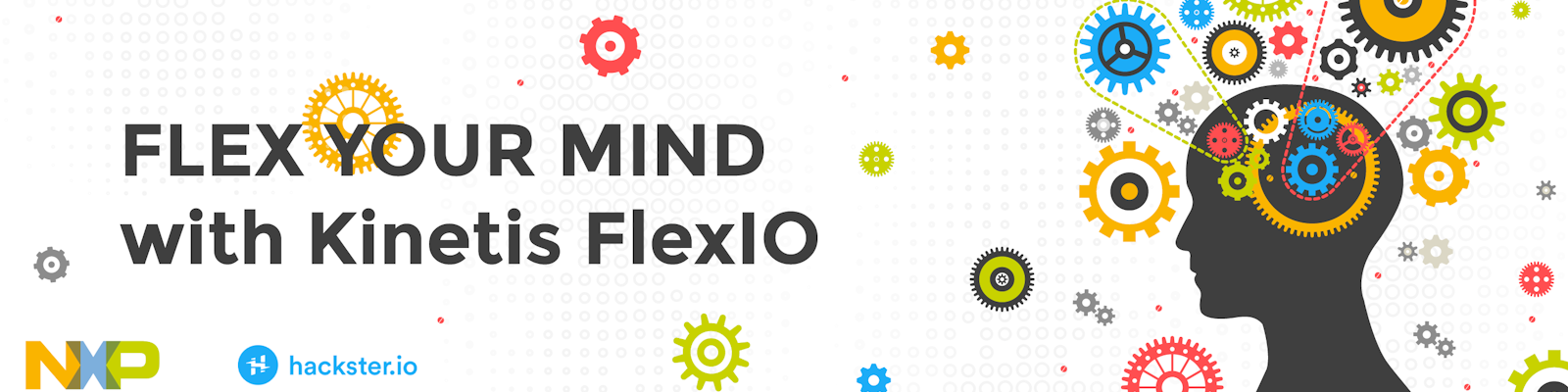 Flex Your Mind with Kinetis FlexIO