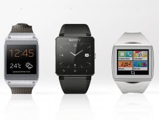 Design 01: Watches In the Wild