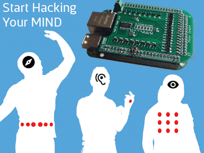 Haptic Neurohacking with the BeagleBone Haptic Cape