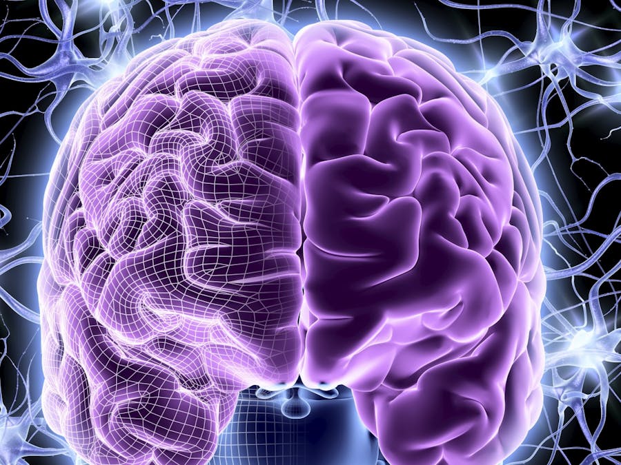 The 420% IQ Booster: A deep brain stimulation (DBS) hack