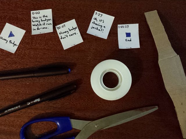 Honey Badgers in the Wild