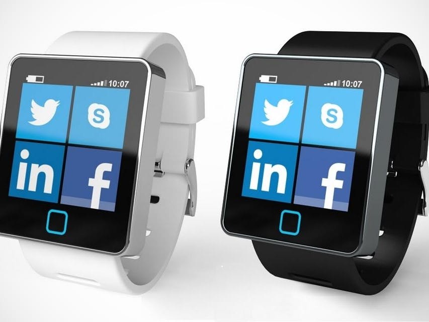 Design 01: Watches in the Wild