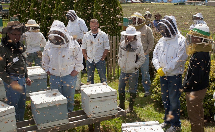 AWS IoT and Beehives