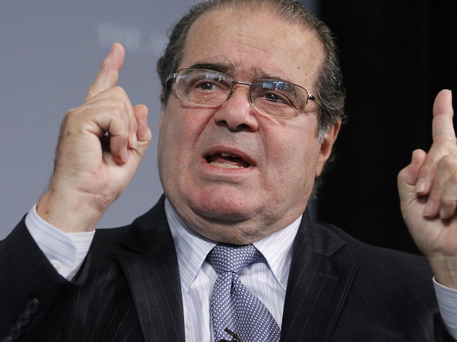 AntonymScalia