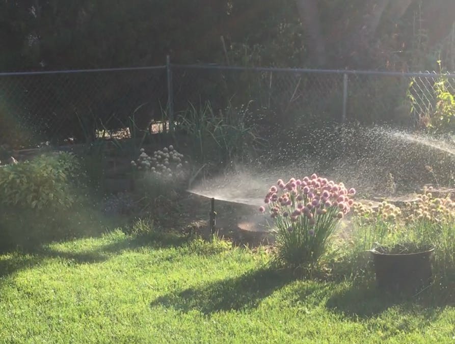 ESP8266 - Water the Garden with your Phone