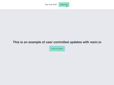 End-User Controlled Updates