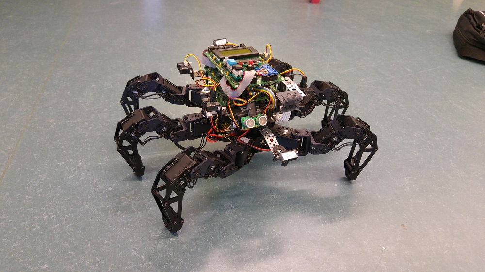 Hexapod spider sales