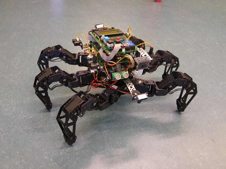 Spider Pig - Autonomous Hexapod Robot