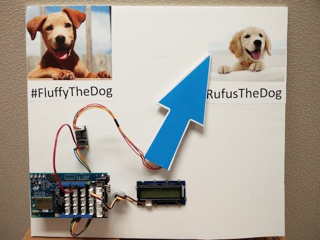 Twitter Dogs 2: Electric Woofaloo