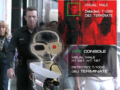 Terminator Vision System