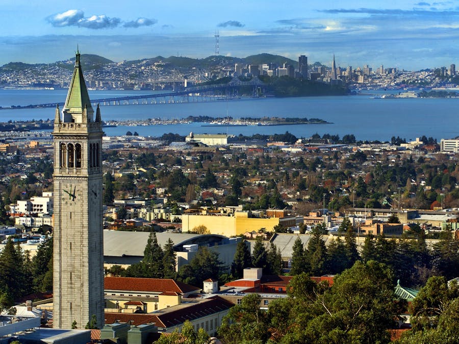 Design 01: Watches in the Wild