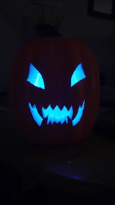 The Magic Pumpkin