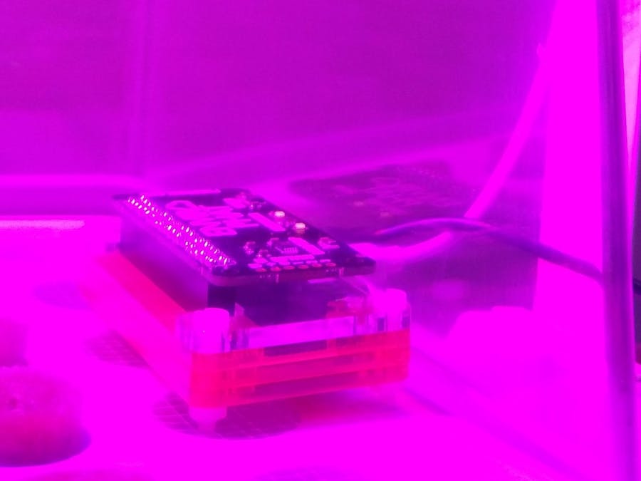IoT Tweeting Plants with Raspberry Pi