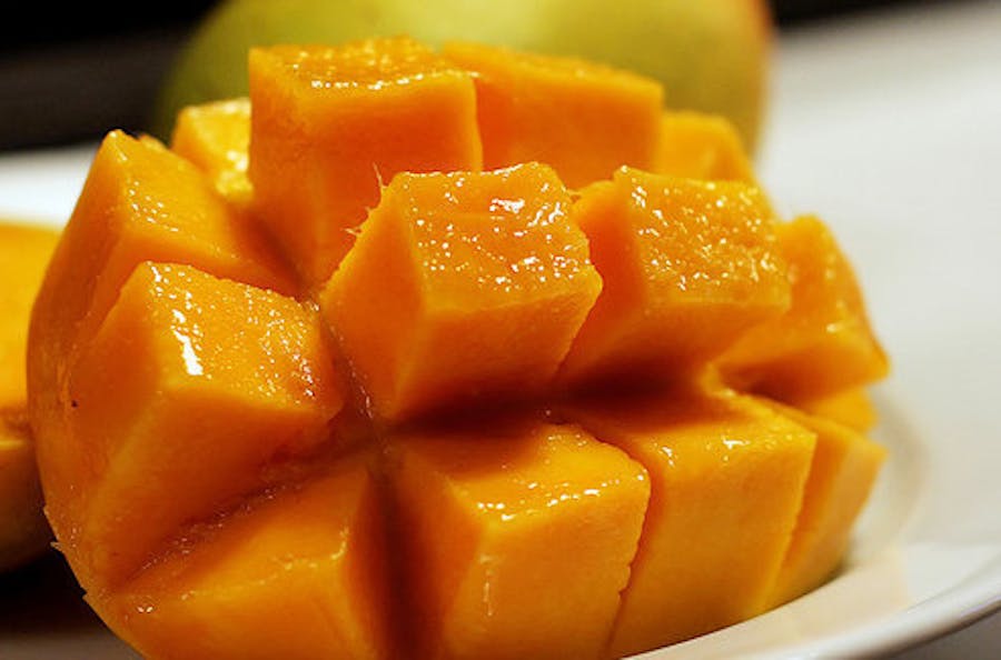 DESIGN02: Group Brainstorm