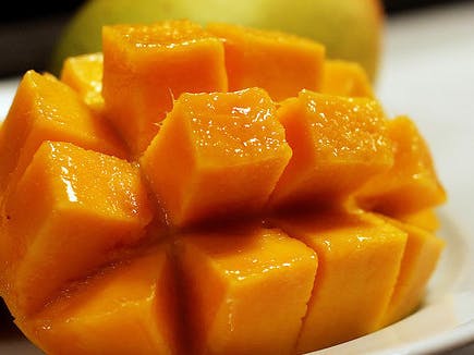 DESIGN02: Group Brainstorm