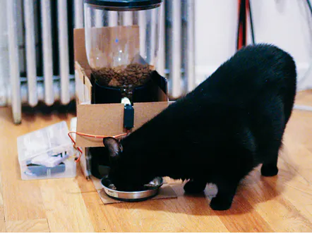 Robokitty - Hackster.io