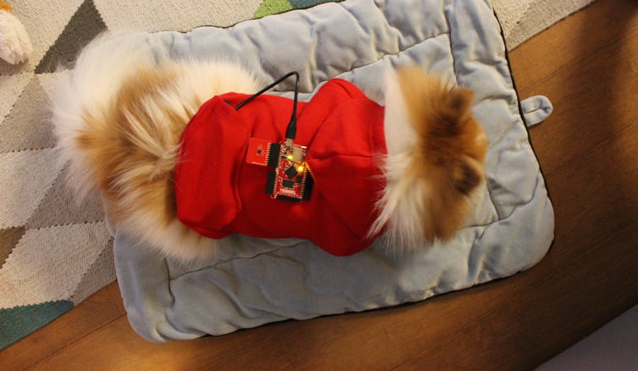 A Sleep Tracker for Your Dog Using Tessel and Twilio