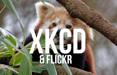 XKCD&Flickr