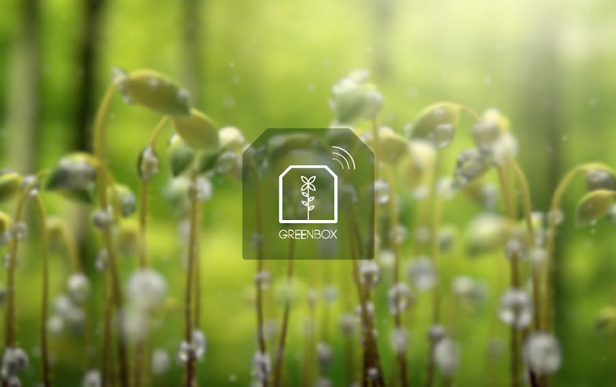 GreenBox