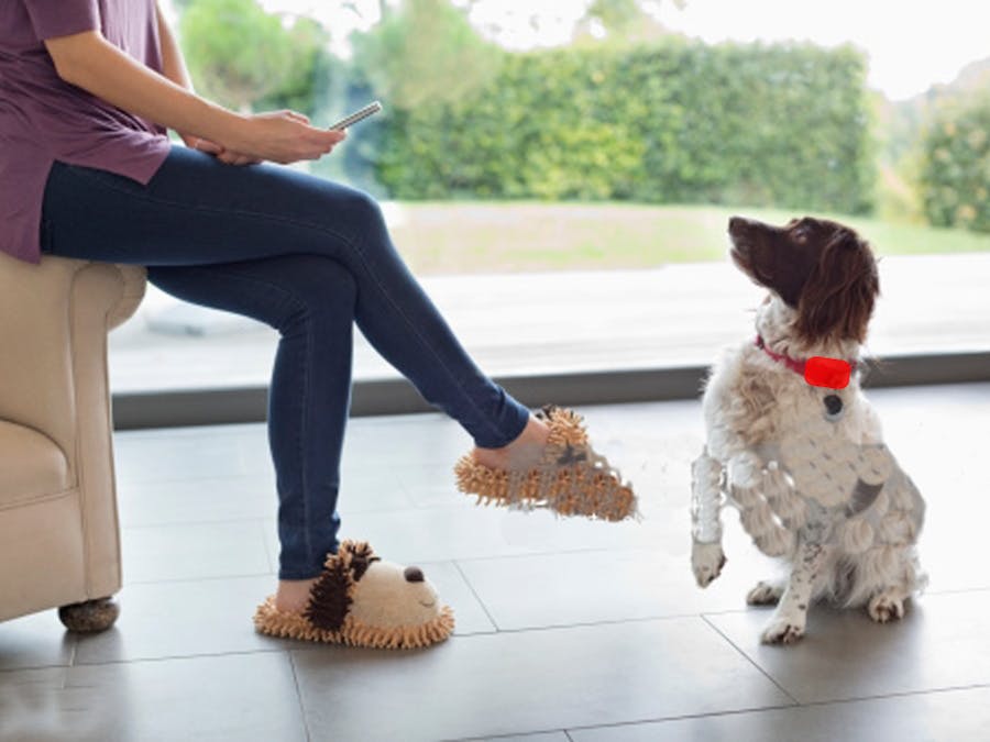 BuzzTrain - Augmenting Communication with Your Dog
