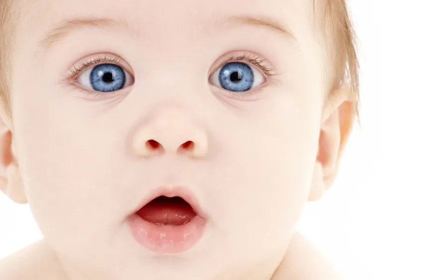 Infant Homo Sapien Care