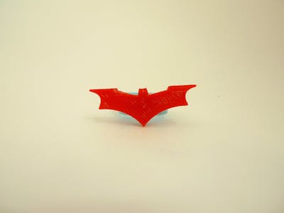 Bat-With-Ring