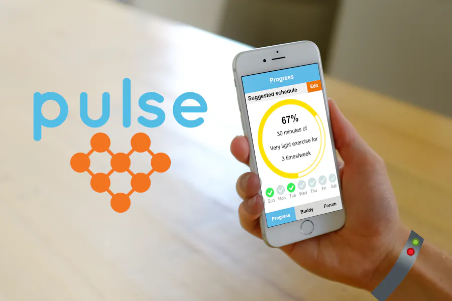 Pulse