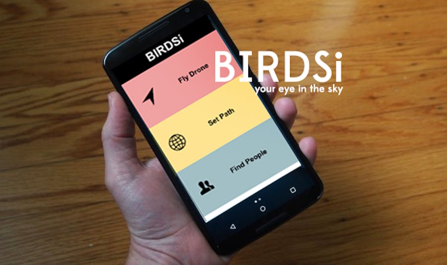 BIRDSi